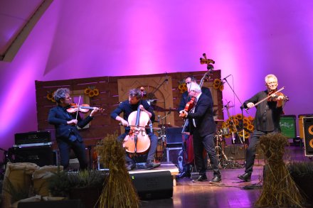 Koncert zespołu Vołosi