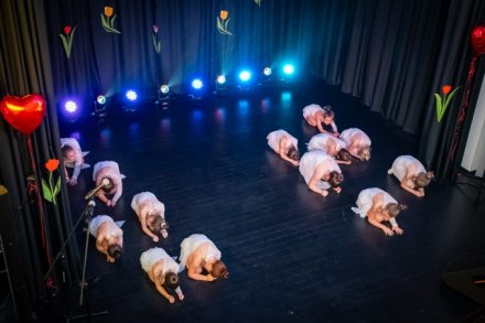 fot. Szymon Brodacki