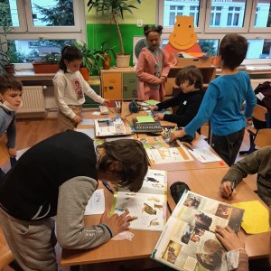 Ekologia w klasie trzeciej