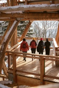 Wieża widokowa na Skolnitym