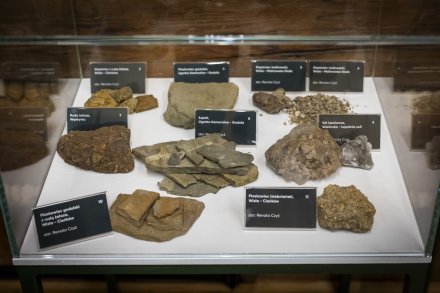 Otwarcie Habsburskiej Osady Gospodarczej - geologiczna część ekspozycji