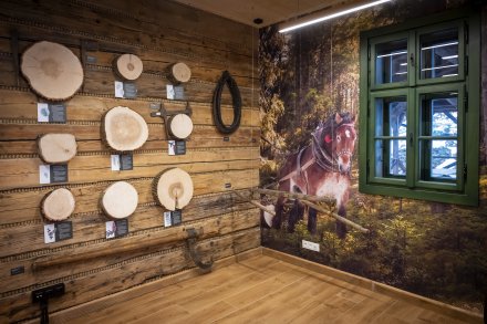 Otwarcie Habsburskiej Osady Gospodarczej - wnętrze jednej z sal