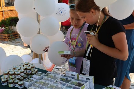 Wy u nas, my u was - letni festiwal Wisły i Rużomberoka