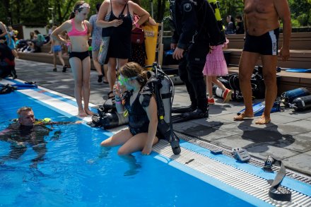 Pokazy płetwonuków