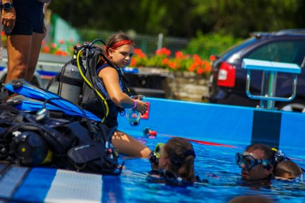 Pokazy płetwonuków