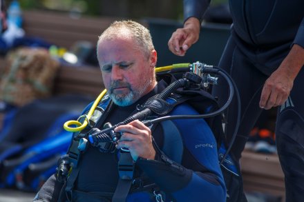 Pokazy płetwonuków