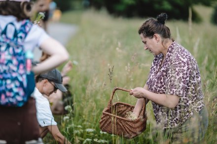 Warsztaty z zielarką