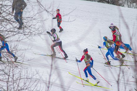 IV Bieg o Puchar Wisły