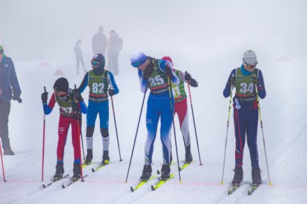 IV Bieg o Puchar Wisły