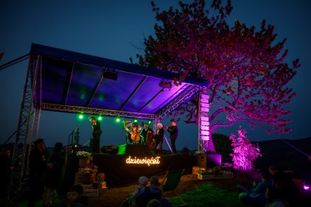 Zespół Vołosi na scenie