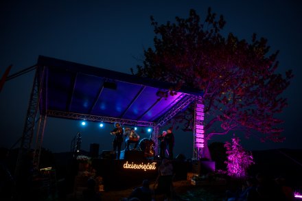 Zespół Vołosi na scenie