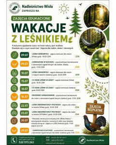 Wakacje z leśnikiem - plakat