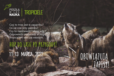 Tropiciele 2