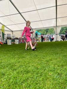 III Międzynarodowa Wystawa Psów Rasowych