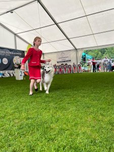 III Międzynarodowa Wystawa Psów Rasowych