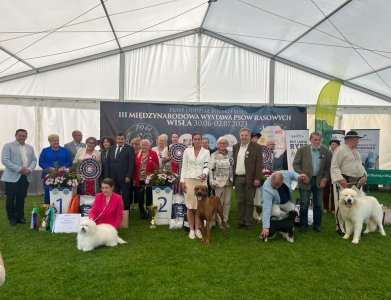 III Międzynarodowa Wystawa Psów Rasowych