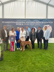 III Międzynarodowa Wystawa Psów Rasowych
