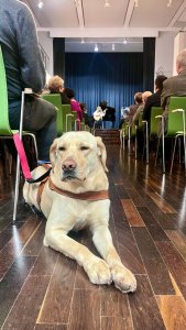 Promocja książki "Materiały do Monografii Wisły"