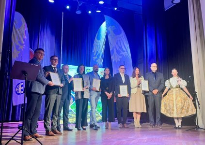 Festiwal Dziewięćsił