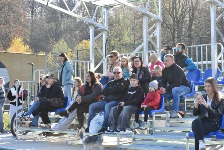 mecz Kawalerowie vs Żonaci