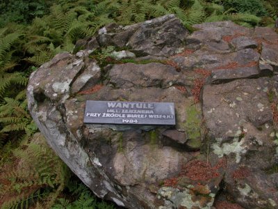 Wykapy Czarnej i Białej Wisełki