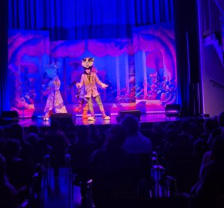 Teatrzyk Detektyw Kot