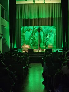 Teatrzyk Detektyw Kot