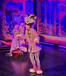 Teatrzyk Detektyw Kot