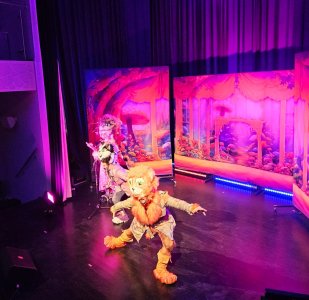 Teatrzyk Detektyw Kot