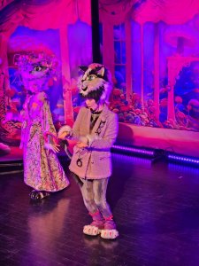 Teatrzyk Detektyw Kot