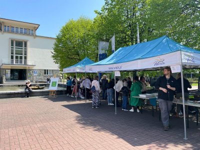 Projekt "Podróż do źródeł... energii"