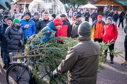 Świąteczny Jarmark z Tradycją
