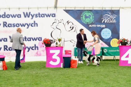 Międzynarodowa Wystawa Psów Rasowych Wisła 2026