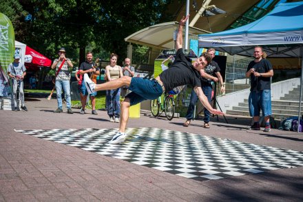 Puzzle Kultury vol. 5 - dzień 1