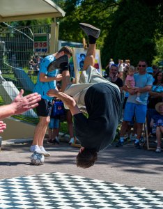 Puzzle Kultury vol. 5 - dzień 2