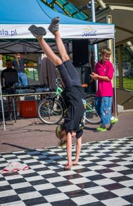 Puzzle Kultury vol. 5 - dzień 1