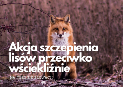 szczepienie