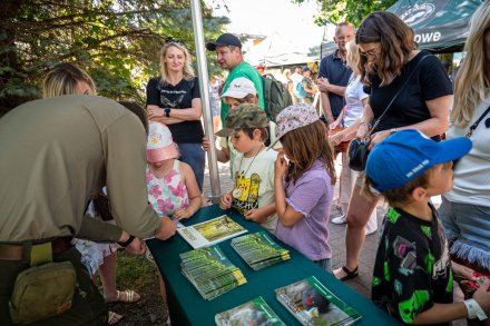 25. Piknik Leśny