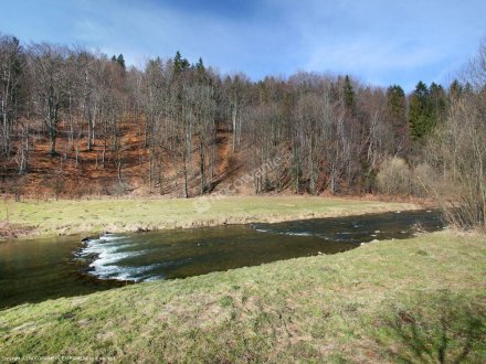 widok na rzekę