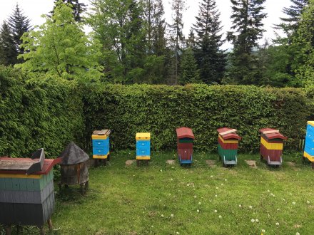 Ula przy gospodarstwie