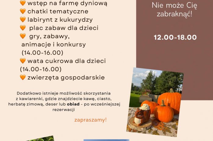 farma dyniowa w Agroturystyce u Gazdy