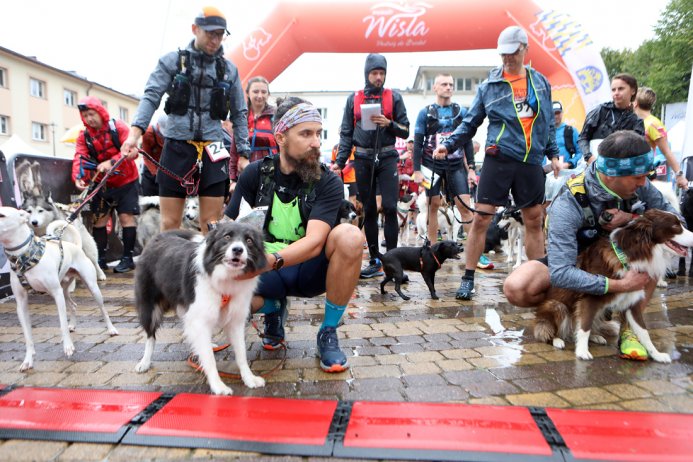 Dogtrekking w Wiśle
