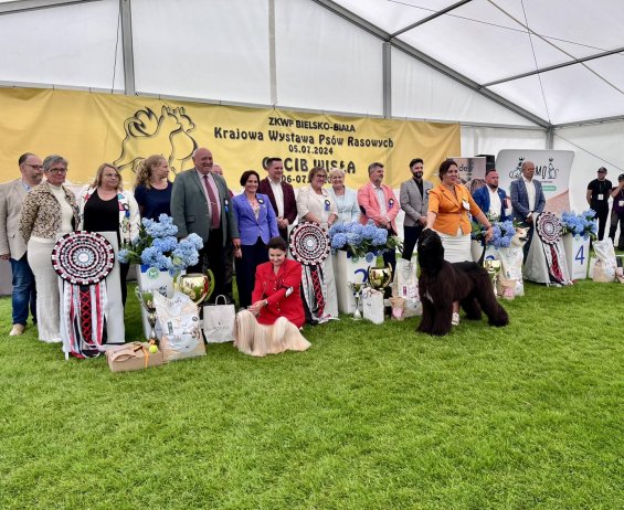 IV Międzynarodowa Wystawa Psów Rasowych