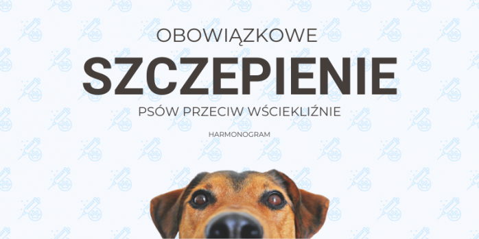 Wścieklizna_2025