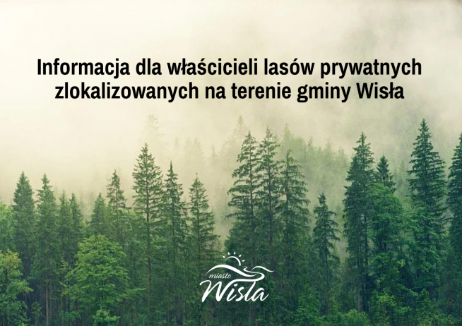 Grafika