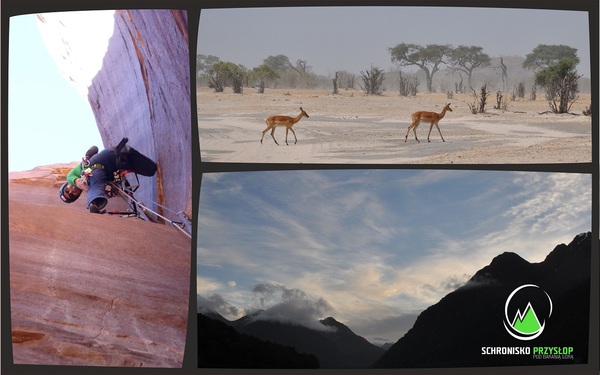 Fotografie przedstawiające przyrodę