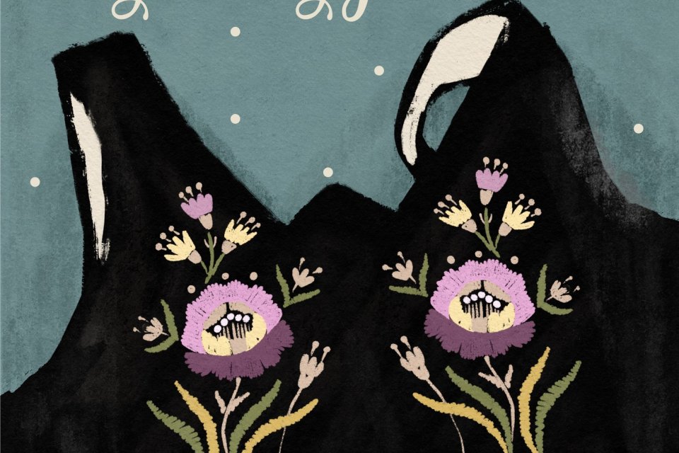 plakat wydarzenia "Wiślańskie żywotki"