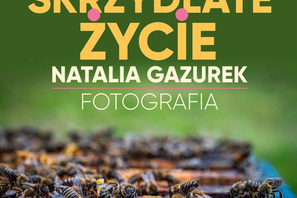 Skrzydlate życie