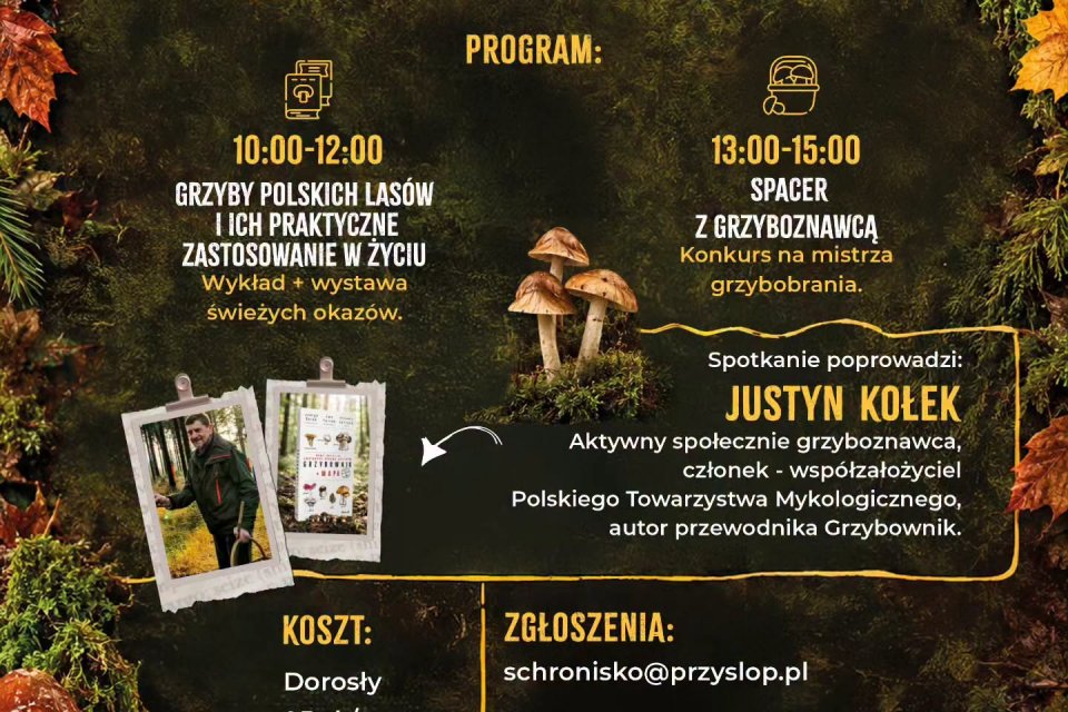 Grzybospotkanie