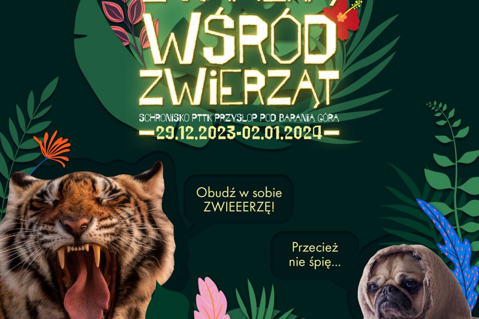 Z kamerą wśród zwierząt